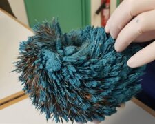 Fotografie: lemurov.net