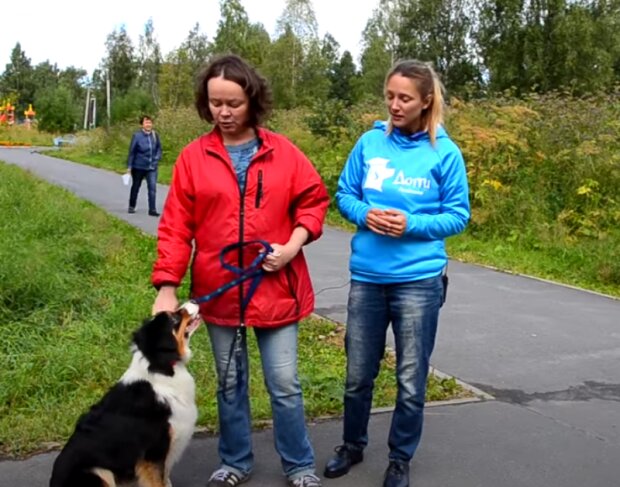 Pes. Foto: snímek obrazovky YouTube