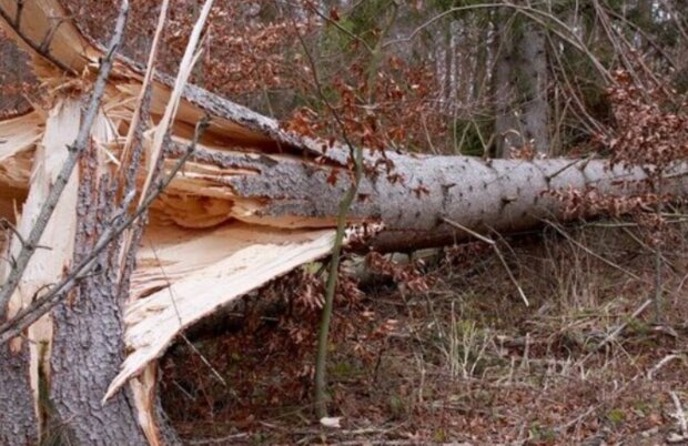 Počasí. Foto: snímek obrazovky YouTube