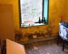 "Marshall se slzami štěstí se díval na práci dobrovolníků." Mezi myší a plísní žil starší Angličan, ale pak se všechno změnilo