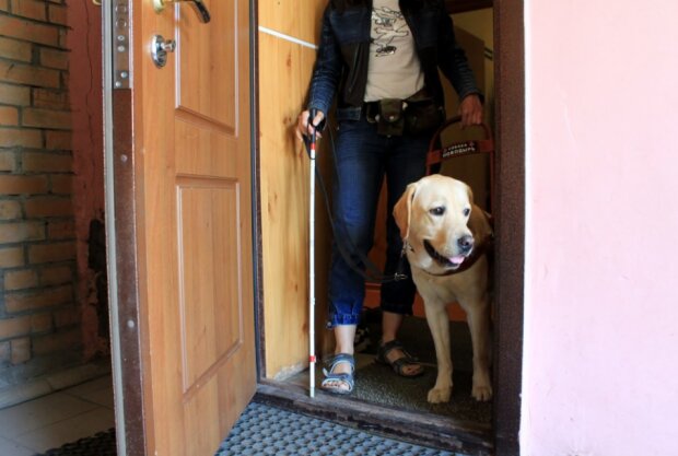 Fotografie: asi.org.ru