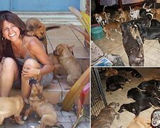 Chránila 97 psů tak, aby přežili hurikán: dívka vše nafotila a zveřejnila na internet