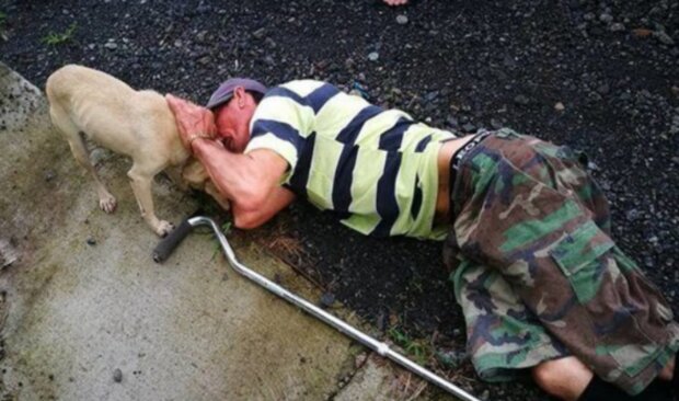 Pes a muž. Foto: snímek obrazovky laykni.com