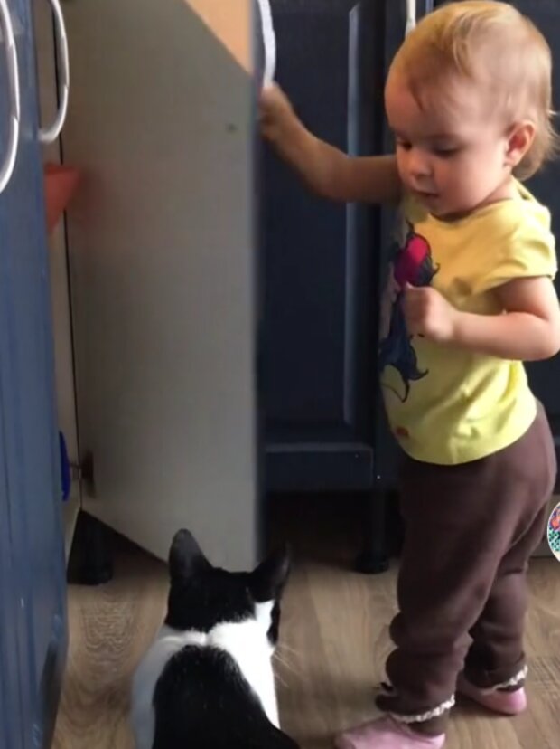 Dítě a kočka. Foto: snímek obrazovky TikTok