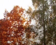 Meteorologové řekli, jaký bude závěr týdne. Jakých nejvyšších teplot se dočkáme: "Hrozí déšť a přeháňky"