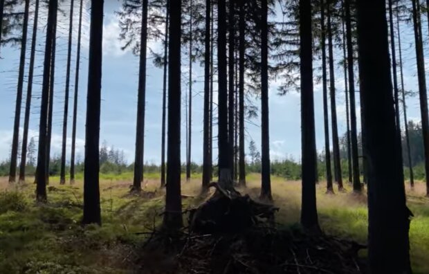 Tropické třicítky: Meteorologové řekli, kdy se vrátí letní počasí a jakých nejvyšších teplot se dočkáme