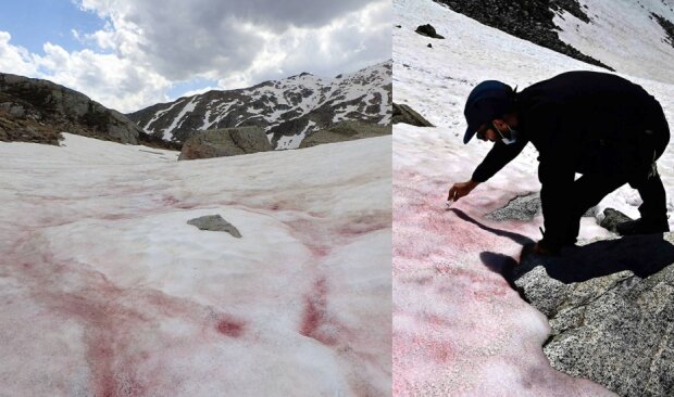 Vzhledem ke globálnímu oteplování v italských Alpách padl růžový sníh