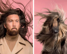 Jako dvě kapky vody: fotograf udělal focení psů a jejich majitelů