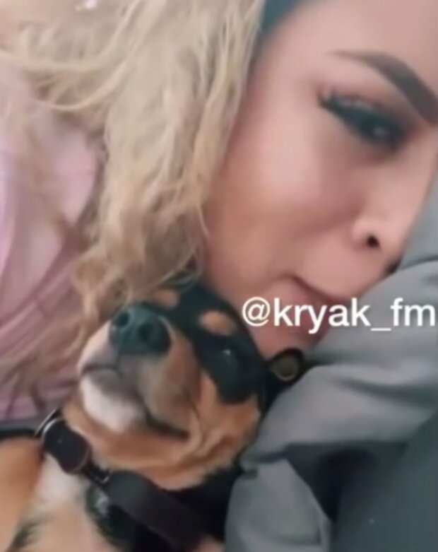 Pes. Foto: snímek obrazovky YouTube