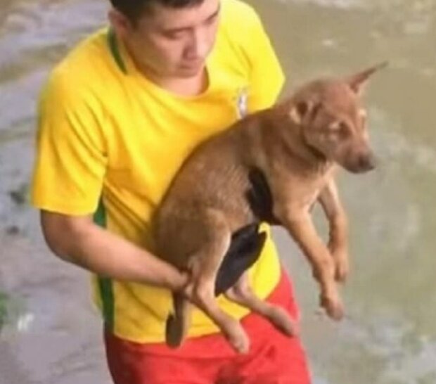 Zdroj fotografie: mur.tv