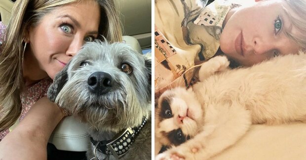 Milovníci domácích mazlíčků: Celebrity, které vzali zvířata z útulků nebo je zachránily z ulic