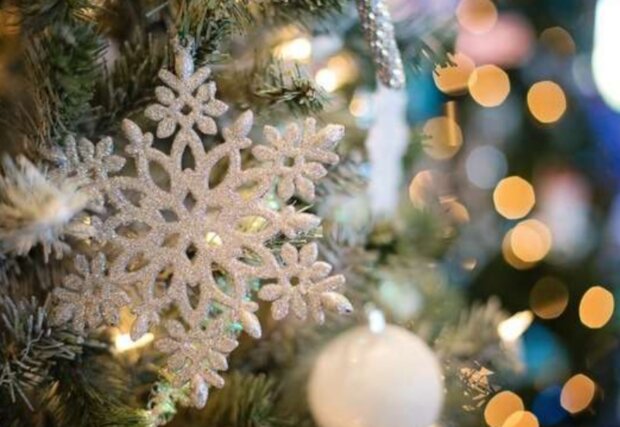 Silvestra. Foto: snímek obrazovky YouTube