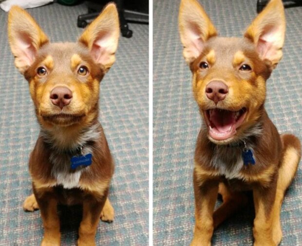 Fotografie: laykni.com