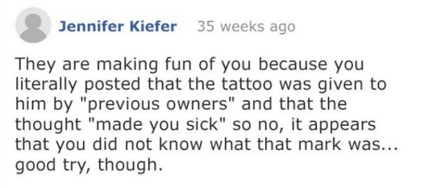 Fotografie: 4tololo.ru