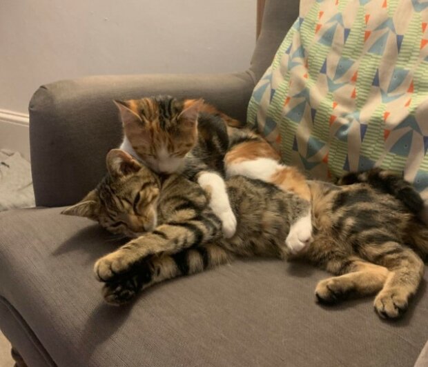 Fotodrafie: laykni.com