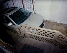 Fotografie: 4tololo.ru