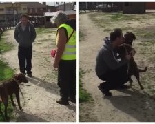 Majitel a pes. Foto: snímek obrazovky YouTube