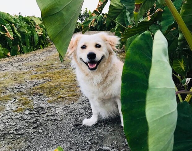 Fotografie: 4tololo.ru