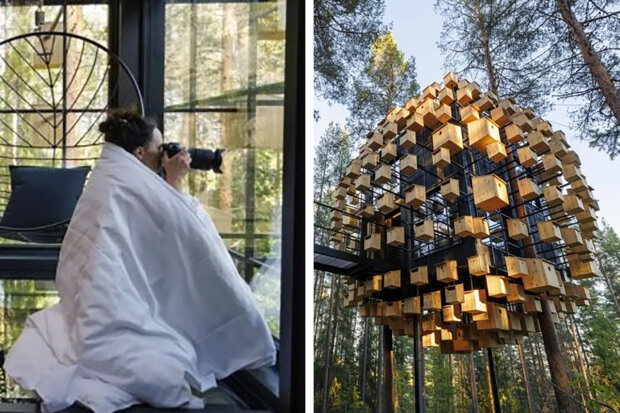 Laponsko má hotelový pokoj na stromě s 350 špachtlemi: jak vypadá neobvyklý terén