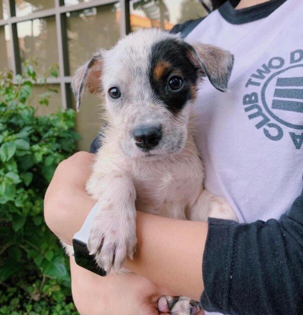 Fotodrafie: laykni.com