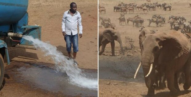 "Muž-voda" z Afriky, který dává pít pro divoká zvířata: nebýt jeho, mnoho zvířat by mohlo zmizet