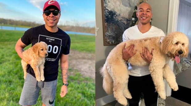 Pes a kluk. Foto: snímek obrazovky MicJones_ / twitter