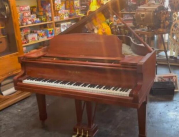 Dům. Foto: snímek obrazovky lemurov