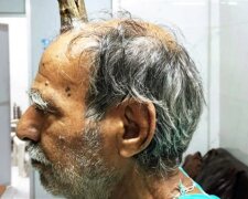 Fotografie: bigpicture.ru