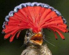 Nejlepší  snímků National Geographic za rok