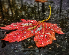 Nic nového říjen nepřinese, ale překvapit může
