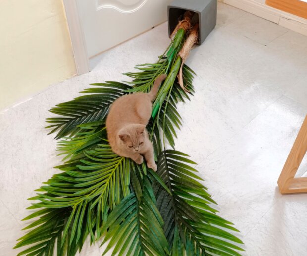 Fotografie: laykni.com