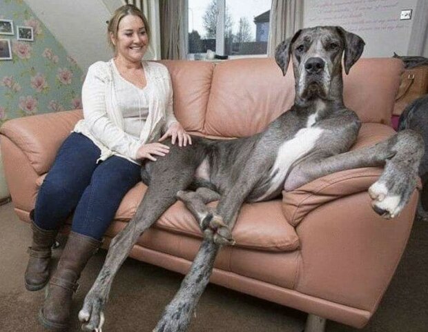 Fotografie: leprechaun.land