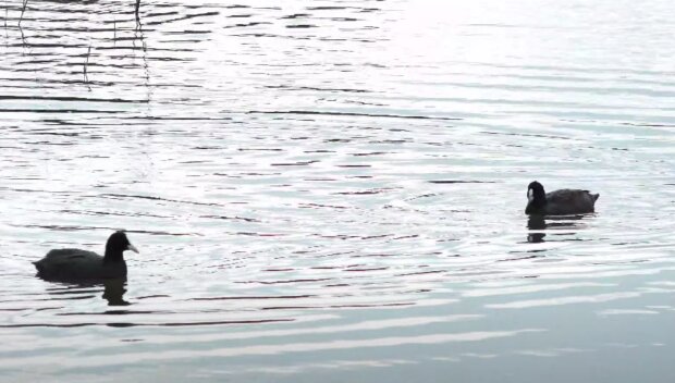 Počasí. Foto: snímek obrazovky YouTube