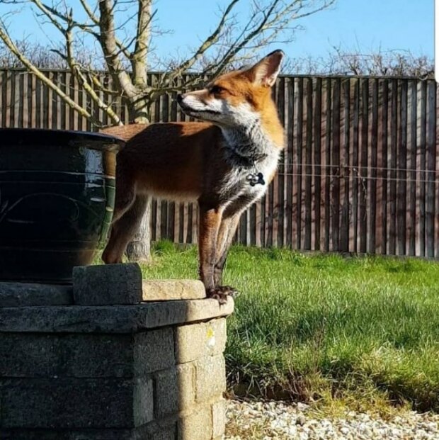 Zdroj fotografie: storyfox.ru
