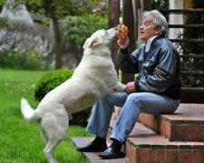 Mužovi bylo 82 let. Zdá se, že je čas sedět na verandě své vily pít čaj a dívat se na slunce
