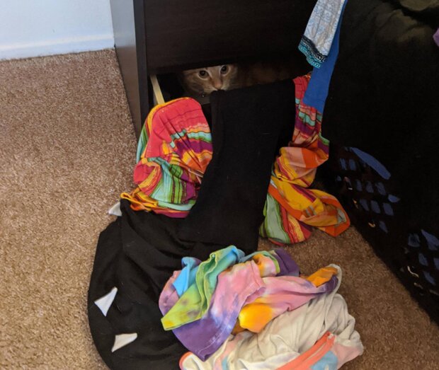 Fotografie: laykni.com