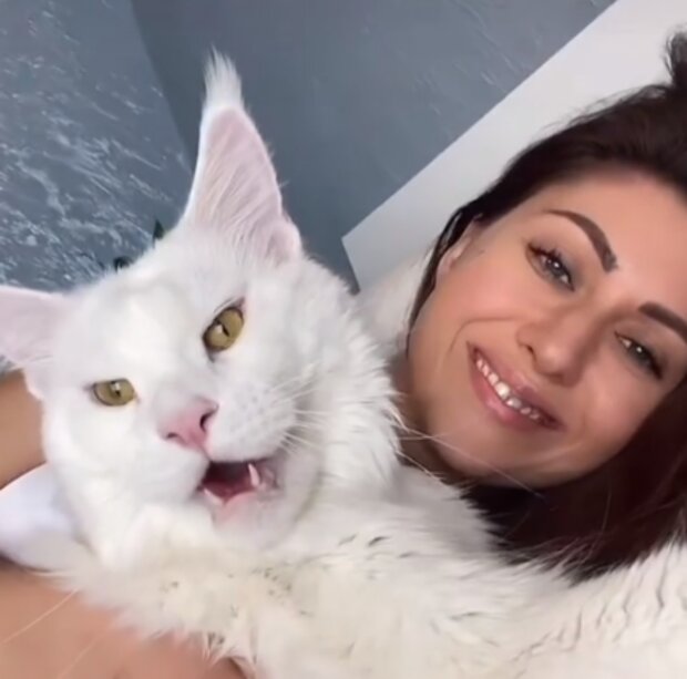 Kocour. Foto: snímek obrazovky Instagram