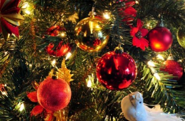 Silvestra. Foto: snímek obrazovky YouTube