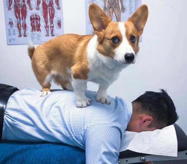 Fotografie: reddit.com