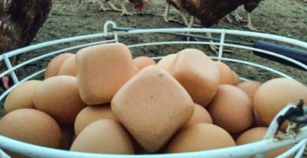 Fotografie: Mmykote.ru