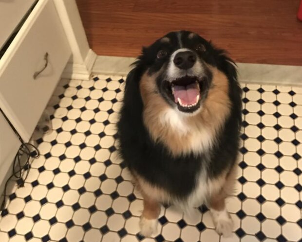 Fotografie: laykni.com