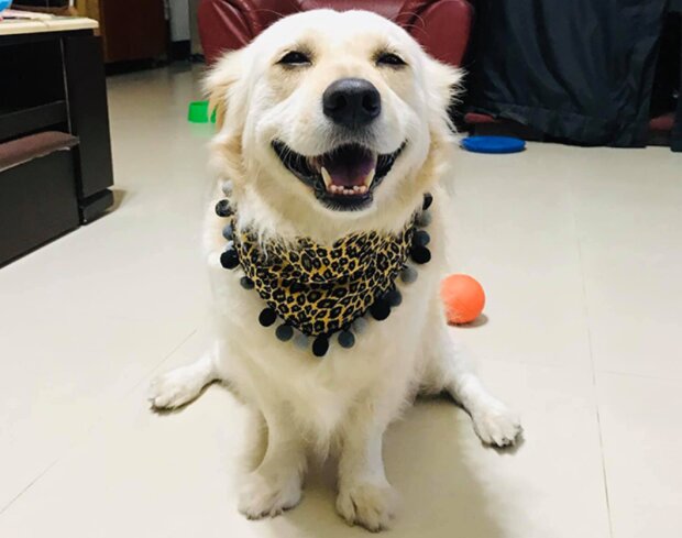 Fotografie: 4tololo.ru