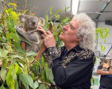 Kytarista skupiny Queen Brian May hrál pro koaly zachráněné před ohněm v Austrálii. A to je jen část velké činnosti