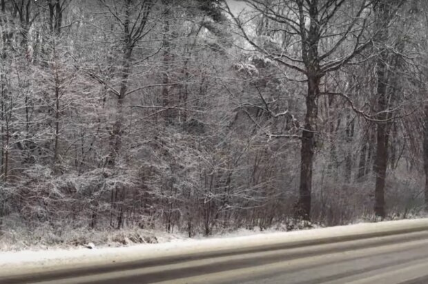 Sněhové jazyky a silný vítr: Meteorologové popsali, jak to bude se sněhem. Jakých nejvyšších teplot se dočkáme