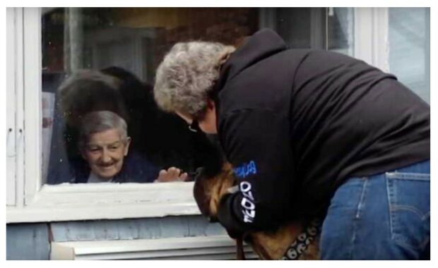 Terapeutický pes každý den navštěvuje domov pro seniory: jeho poslání nám ukazuje, jak velké srdce psi mají