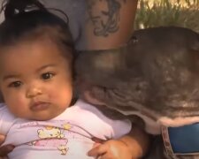 Dům zahořel a matka viděla, jak pes táhl její sedmiměsíční dítě za plenku