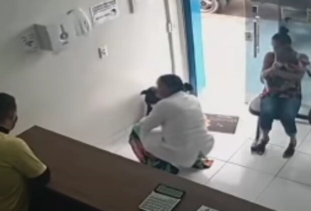 Pes. Foto: snímek obrazovky YouTube