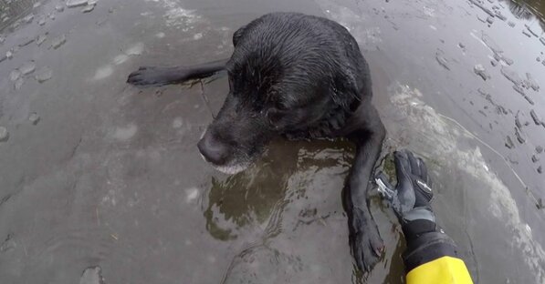 Musela se plazit za psem na tenkém ledě, ale záchranářka se stále probadla pod led. Jak se jim to podařilo zvládnout