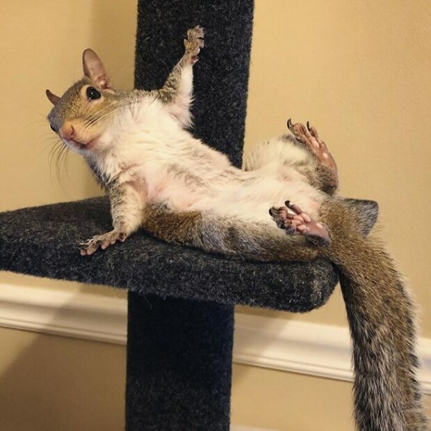 Zdroj fotografie: boredpanda.com