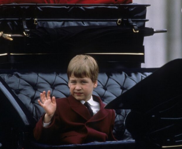 Královská rodina. Foto: snímek obrazovky focus